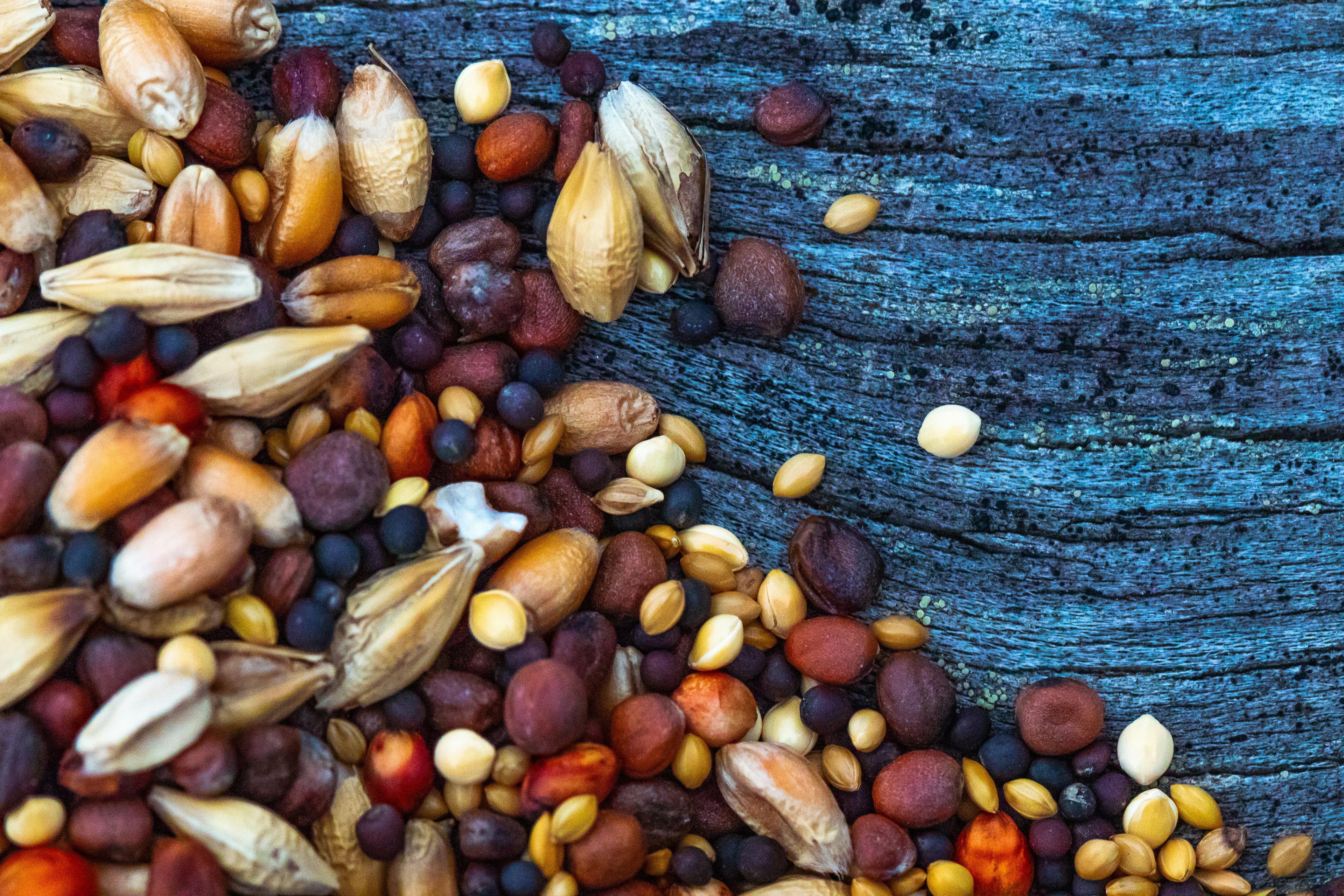 a pile of nuts sitting on top of a wooden table