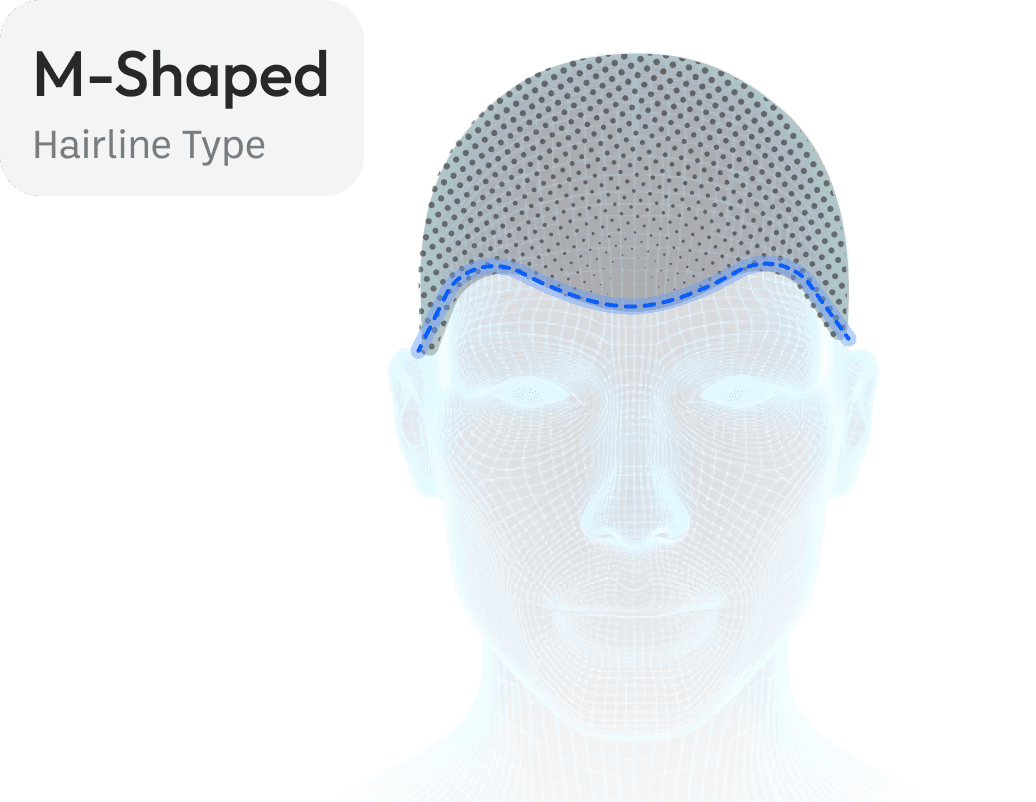Full Hair Analysis Desktop