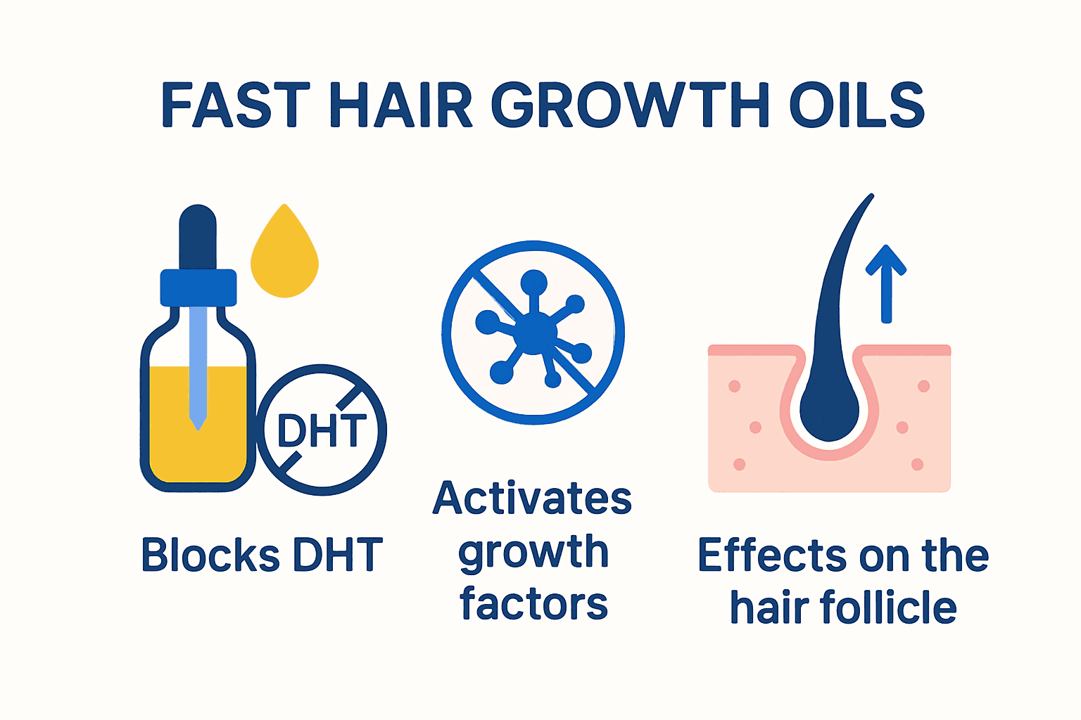 Infographic on biological mechanisms of fast hair growth oils