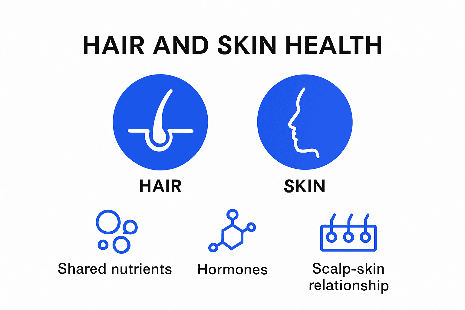 Infographic showing hair and skin connection and key health factors