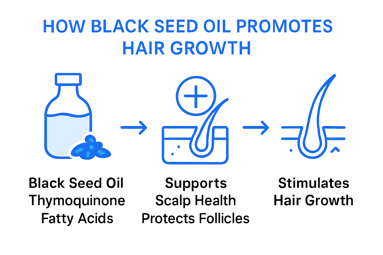 Infographic showing how black seed oil supports hair growth biologically