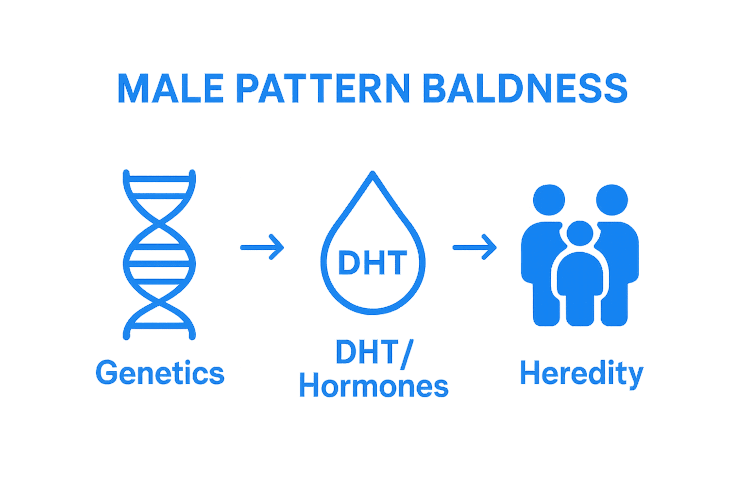 Genetics, DHT, and family history comparison infographic