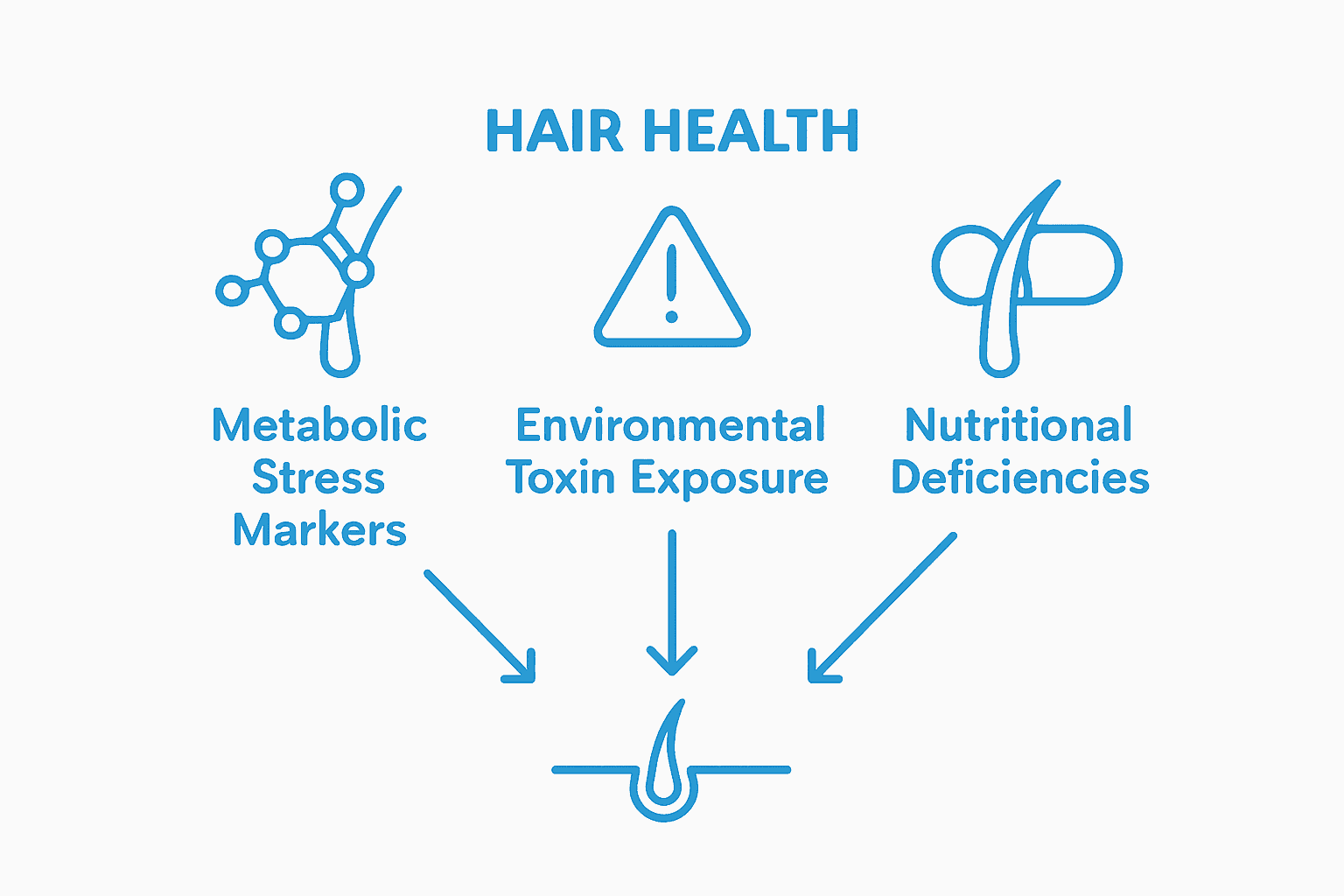Key diagnostic results in hair loss hair analysis infographic