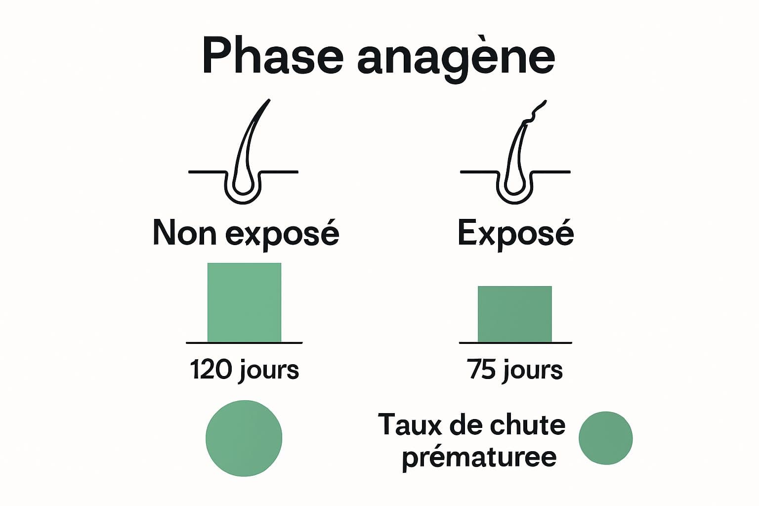 Comparatif durée de croissance des cheveux exposés vs non exposés à la pollution