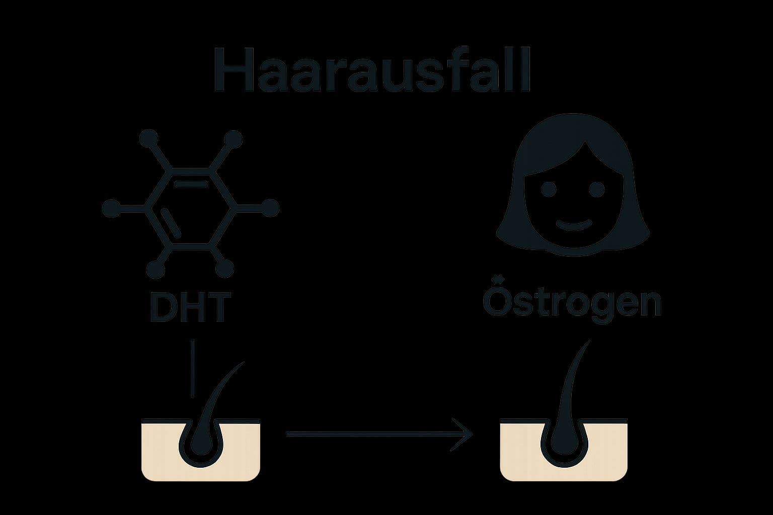 Infografik Vergleich DHT vs Östrogen Einfluss auf Haare
