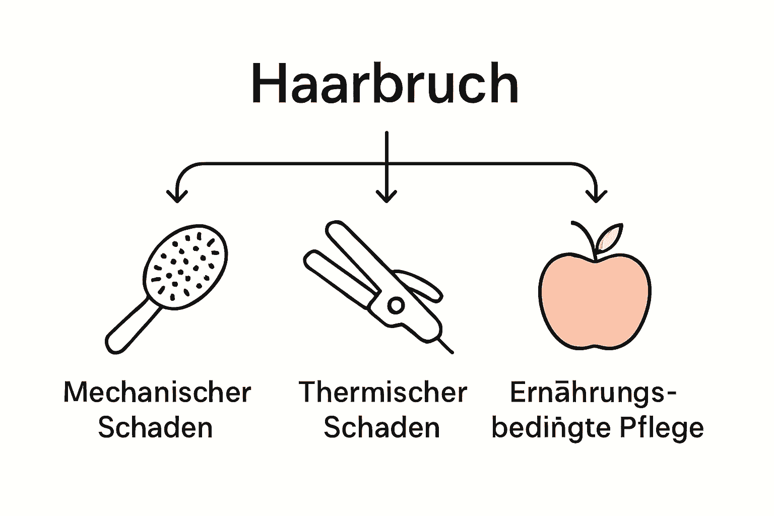 Infografik zeigt Hauptursachen für Haarbruch: Mechanik, Hitze, Ernährung