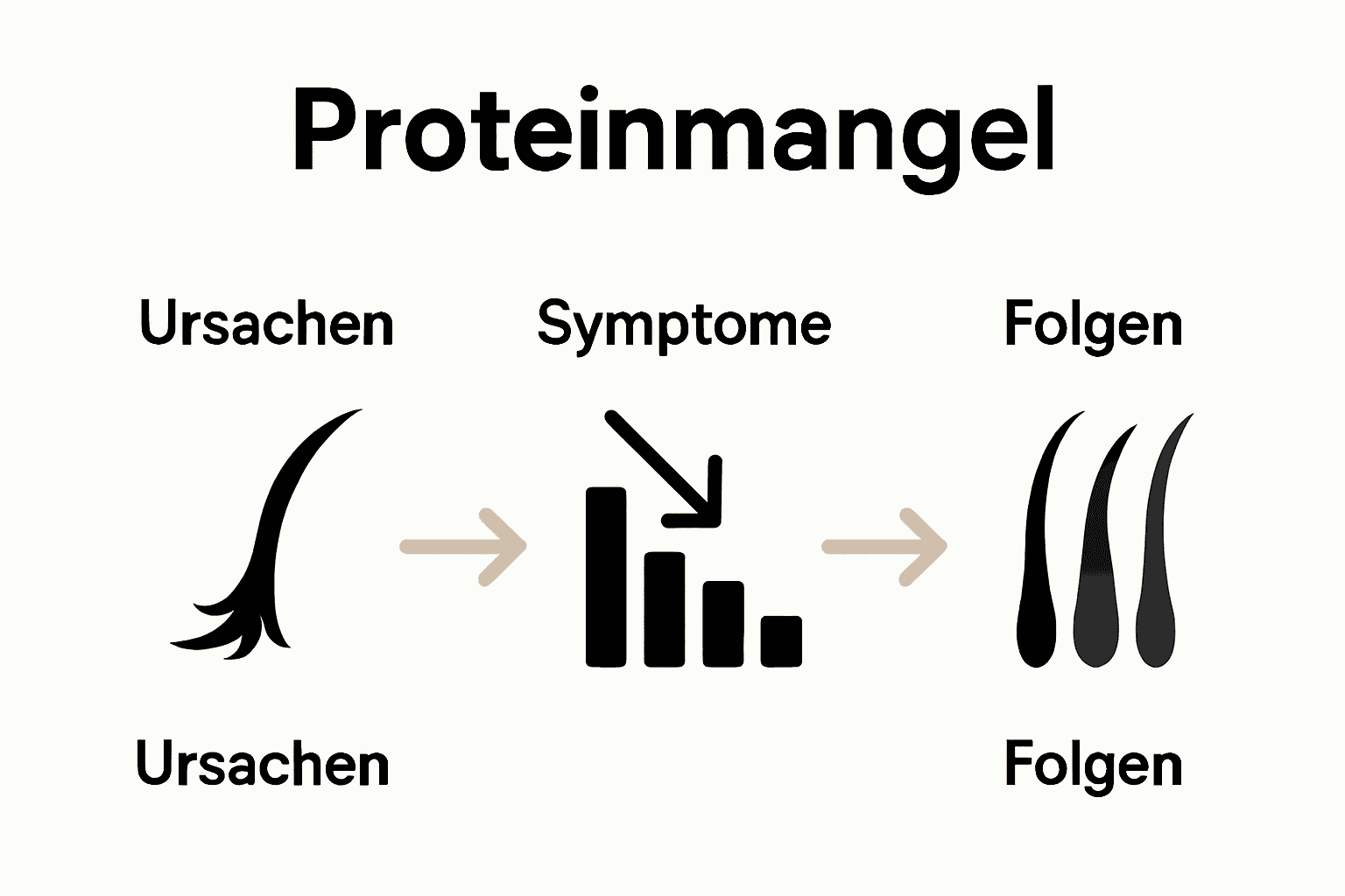 Infografik: Symptome und Folgen von Proteinmangel im Haar