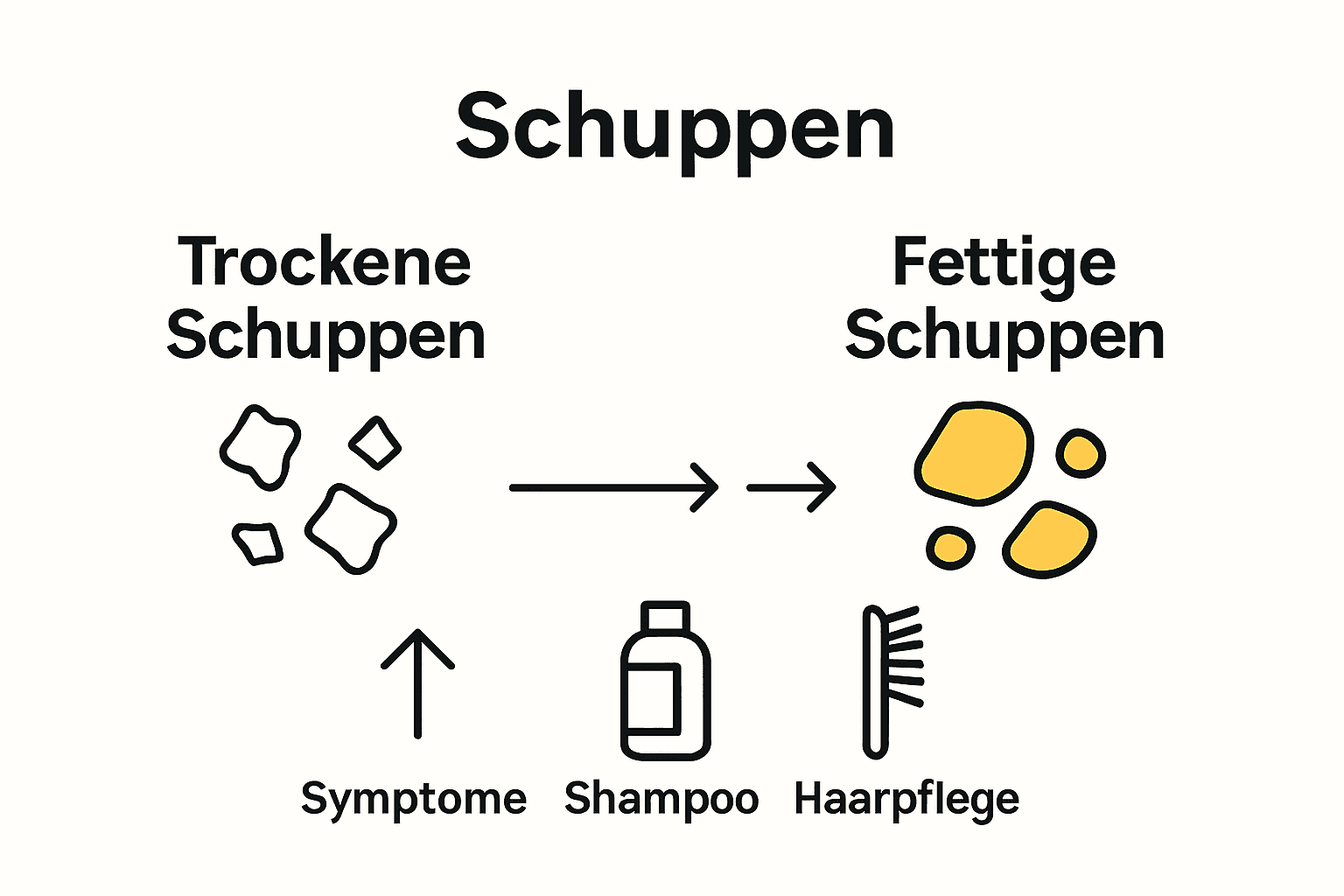 Infografik Vergleich trockene und fettige Schuppen mit Symptomen