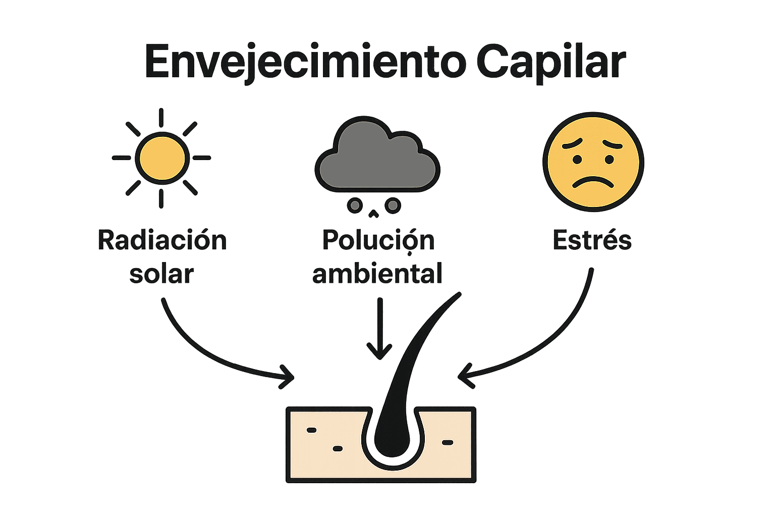 Infografía factores externos envejecimiento cabello