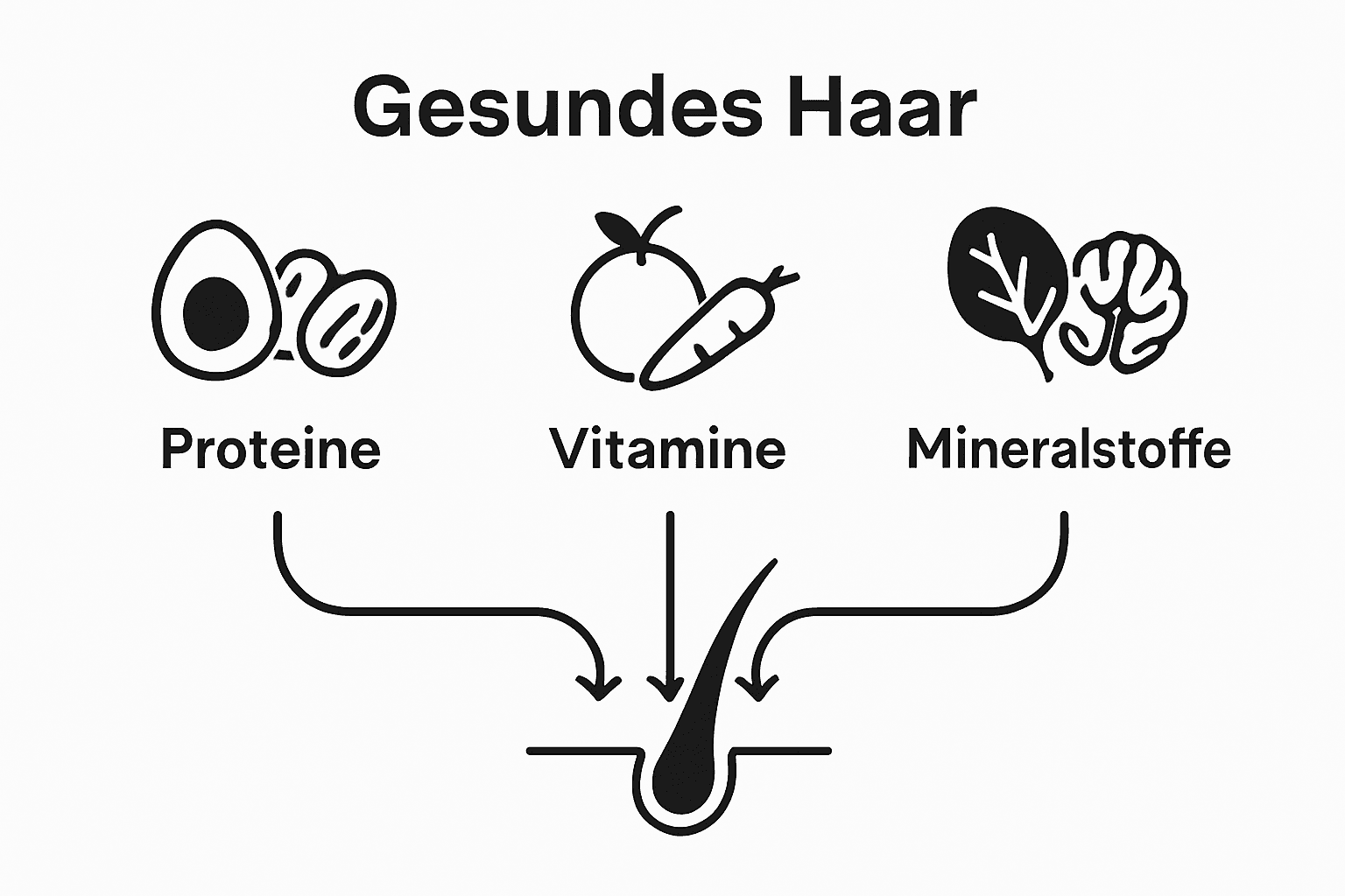 Infografik: Nährstoffgruppen und ihr Nutzen für Haare