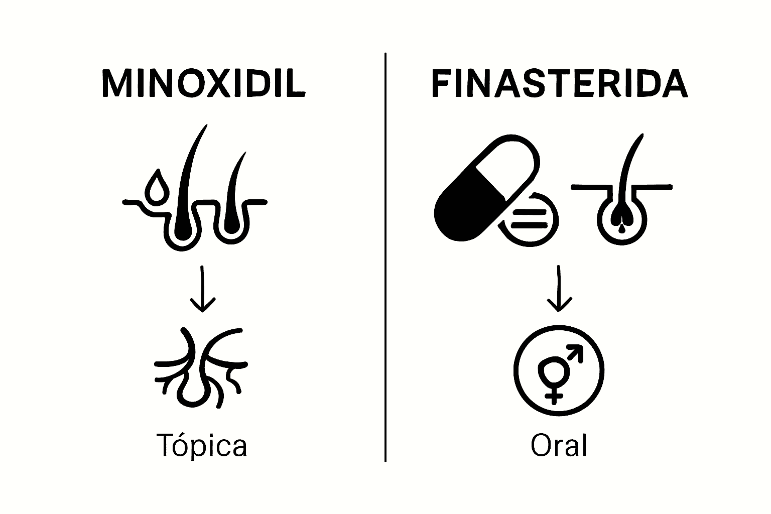Infografía: diferencias entre el efecto del minoxidil y la finasterida