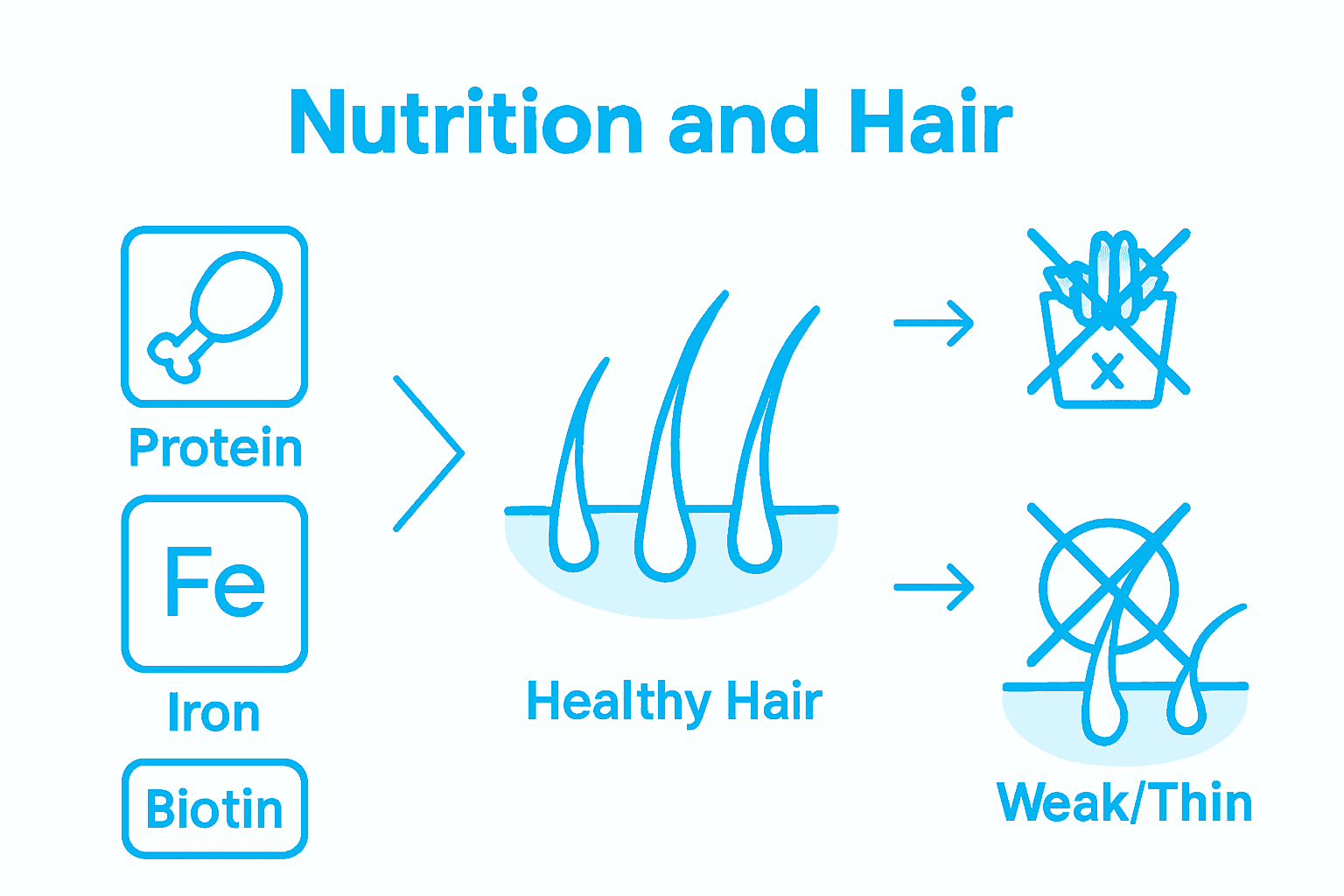 Infographic showing nutrition’s impact on hair loss