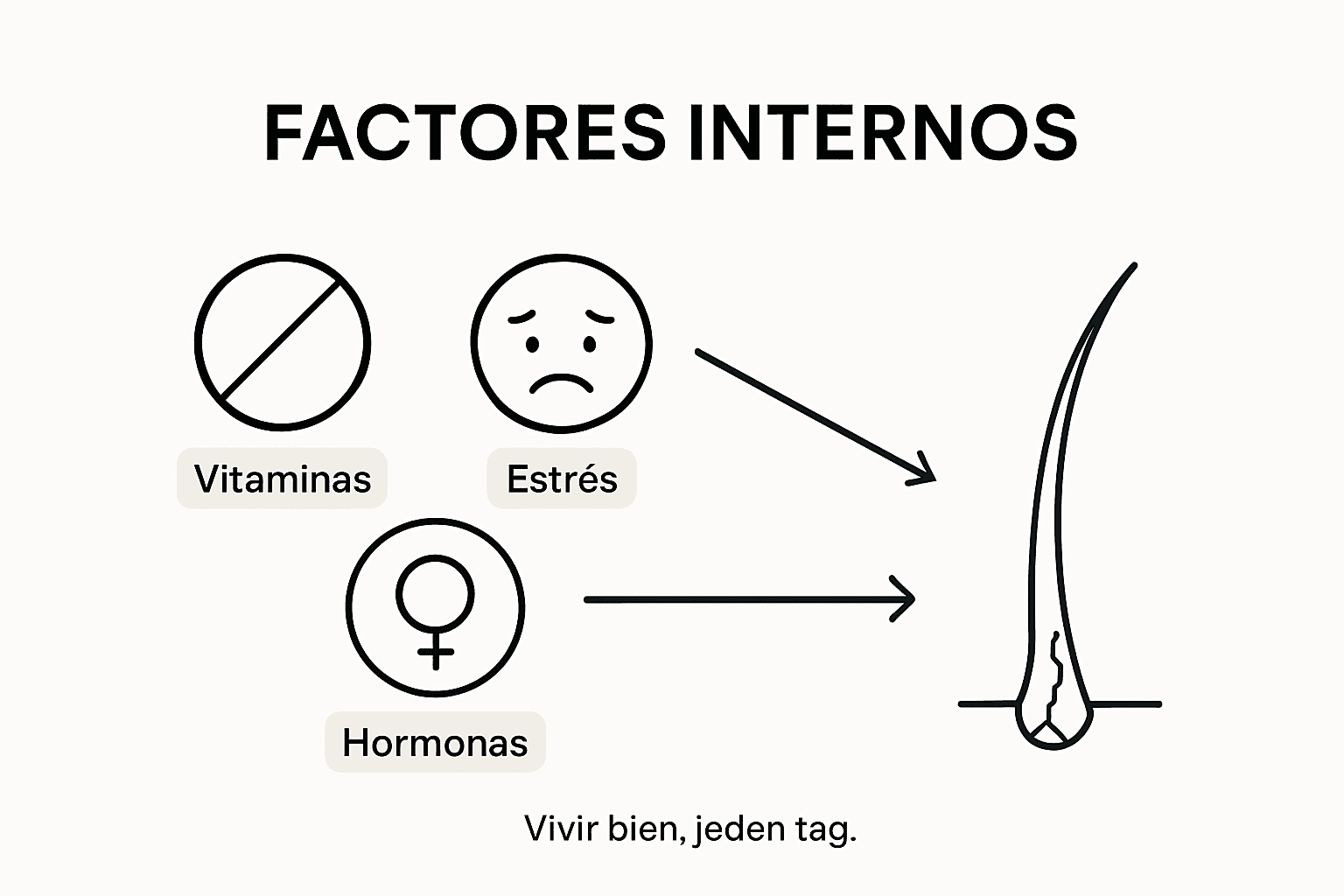 Infografía: Factores internos que debilitan y quiebran el cabello