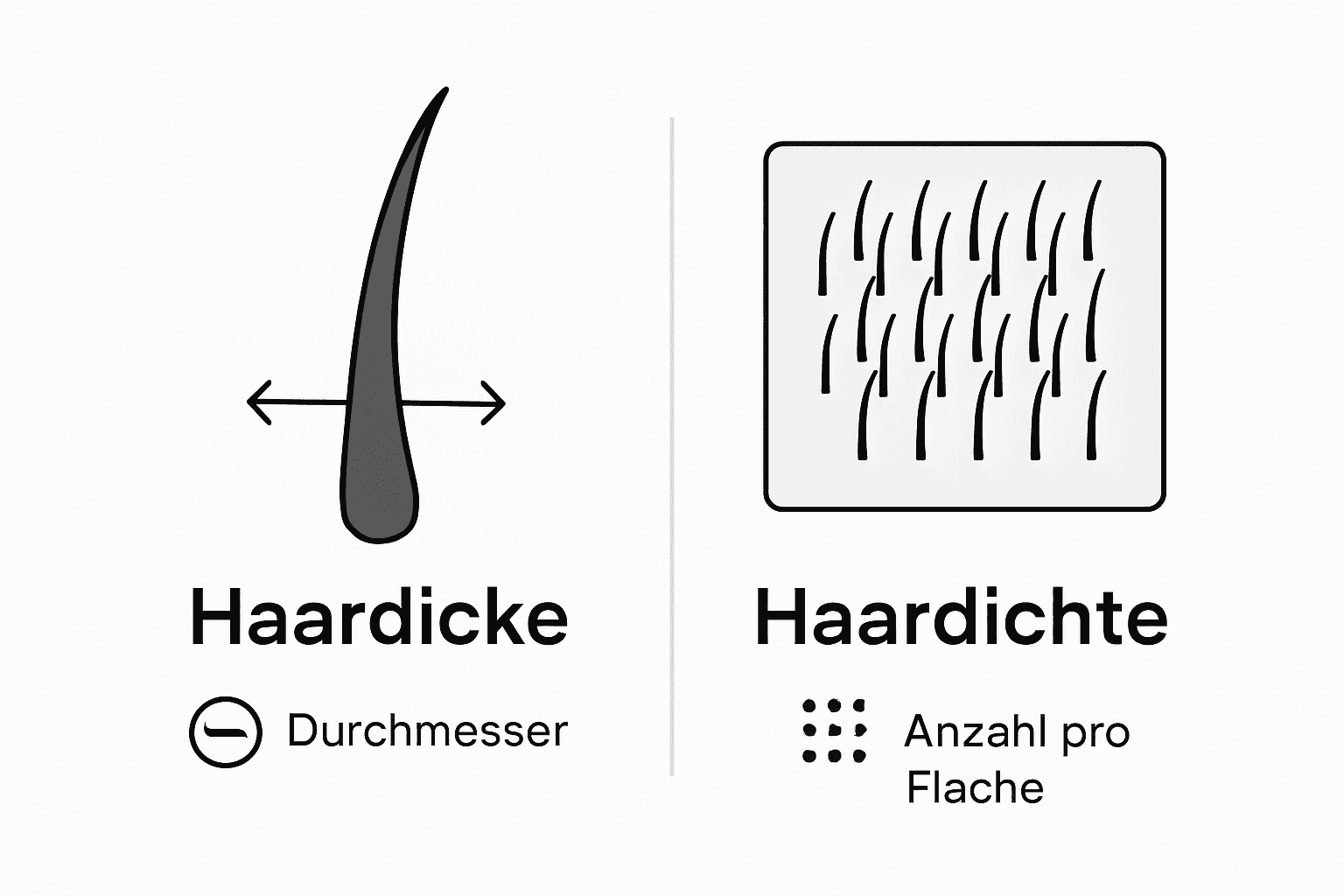 Infografik: Unterschiede zwischen Haardicke und Haardichte auf einen Blick