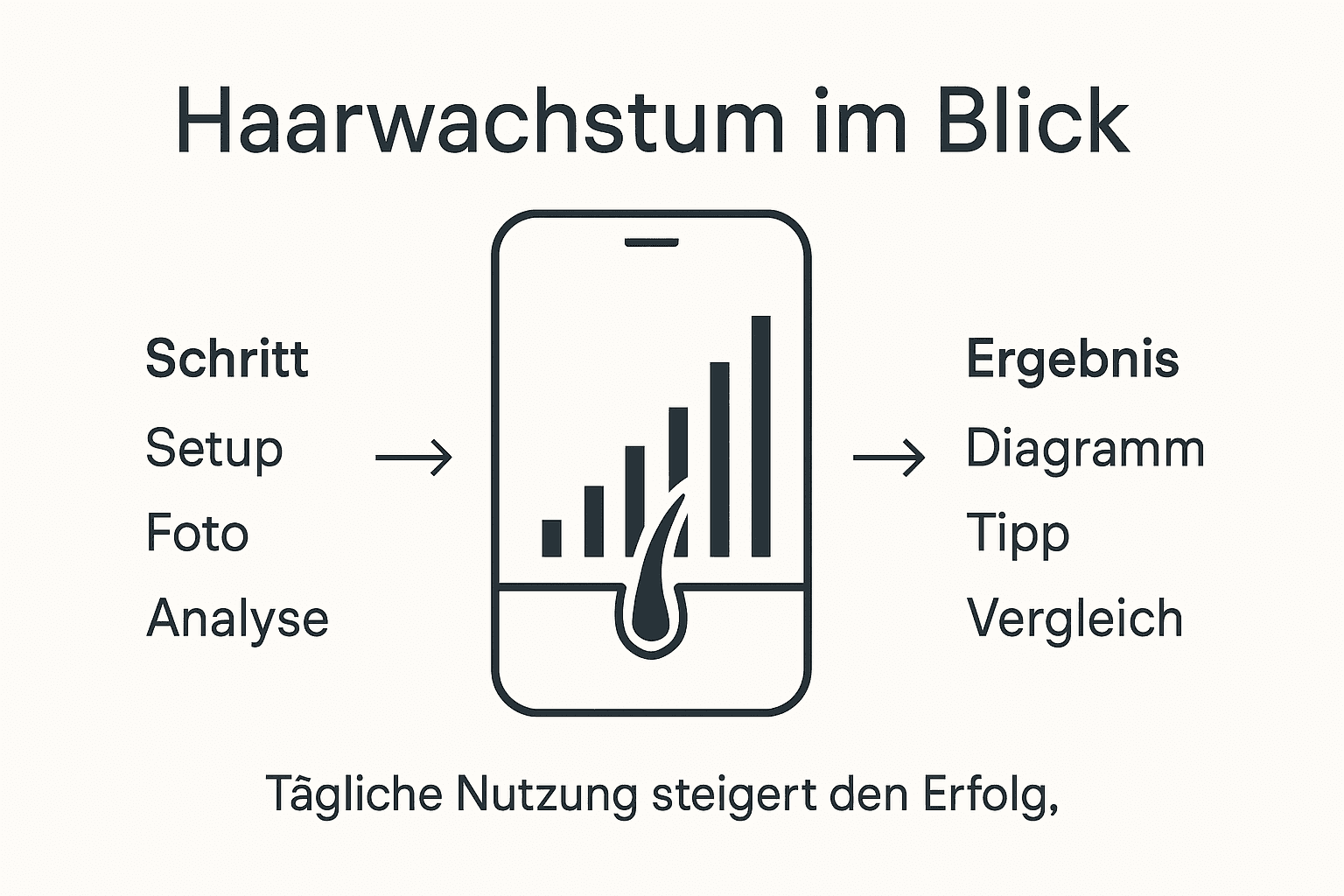 Grafische Übersicht: So entwickeln sich Ihre Haare – Wachstumsphasen und sichtbare Erfolge auf einen Blick