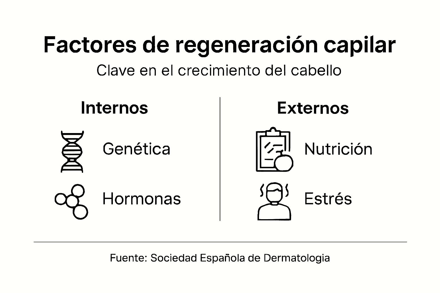 Infografía: ¿Qué factores influyen en el crecimiento y la renovación del cabello?